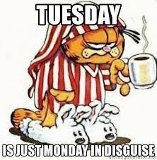 Tuesday Is Just Monday In Disguise Garfield With Coffee Meme Generator