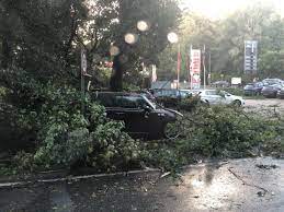 Das wetter in nürnberg langwasser heute: Sturm Chaos Im Nurnberger Land N Land