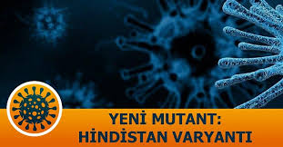 Mutantın, aşının etkisini zayıflatması ve ağır hastalık yapmasından endişe ediliyor. Jby Xi3i9bdkgm
