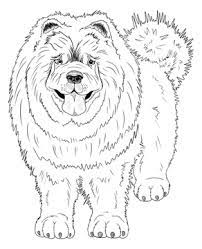 In fact, coloring books are even reported to be the best alternative to traditional forms of meditation as they allow the mind to relax, enter into a state of. Coloring Book With Chinese Chow Chow Dog Stock Illustration Adobe Stock