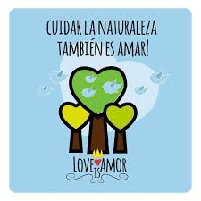 Organízate con tus compañeros y pide permiso a tu maestro para realizar una campaña del cuidado del agua. Cuidar La Naturaleza Tambien Es Amar Te Amo Como Eres Frases Bonitas Frases De La Vida