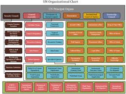 Un Organizational Chart Explore The Key Figures And Roles