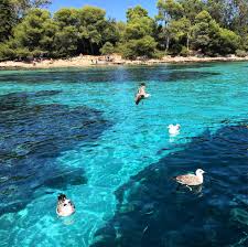 Iles De Lerins Ile Sainte Marguerite Cannes France Ile Sainte Marguerite Iles De Lerins Sainte Marguerite
