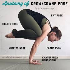 Pin On Yoga