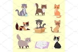 Cute Cats Kitty Pet Adorable Character Different Pose Vector Home Cats Different Breeds Cute Cats Kitty Pets