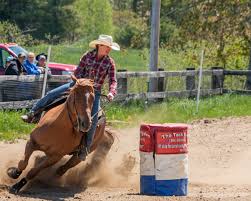 We voegen dagelijks de nieuwste en populairste online games van het internet toe, dus je hoeft je nooit te vervelen. File Barrel Racer 17954256318 Jpg Wikimedia Commons