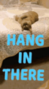 Hang In There Baby Gifs Tenor