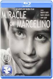 Veterans Day Memorial Service In South Amboy Remembering Bob Noble Jr.  South Amboy Ferry Service To New York Begins Sayreville G