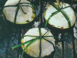 We did not find results for: Tomini E Melanzana Bbq Mangiare Bene