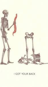 Rhinebeck Pilates Pilates Teacher Physical Therapy Humor Pilates