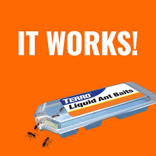 Maxforce ant bait stations will eliminate the entire colony in a short time. Terro Indoor Liquid Ant Killer Baits 1 Pack T300 The Home Depot