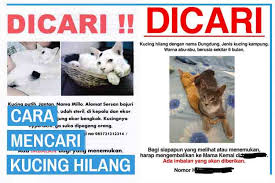 Mencari orang hilang dengan nama. 10 Cara Mencari Kucing Hilang Atau Kabur Kucingklik Com