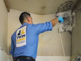 Phoenix Mold Removal & Remediation Company | Open 24/7