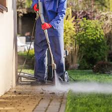Throughout my life, one major value that's been consistently hammered into my brain time after time. Why Is The Side Of My Home Turning Green Proclean Pressure Washing