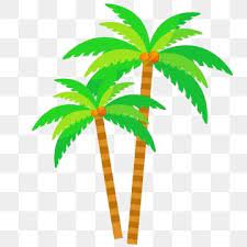 Fresh Coconut Tree Vector Coconut Clipart Tree Clipart Island Png And Vector With Transparent Background For Free Download Palm Tree Vector Tree Doodle Tree Drawings Pencil