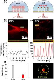 We did not find results for: 3d Super Resolved Imaging In Live Cells Using Sub Diffractive Plasmonic Localization Of Hybrid Nanopillar Arrays