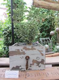 15 diy dekorlösungen für ihren balkon. Holz Pflanz Schublade Zum Bepflanzen Grau Deko Garten Vintage Shabby K Ambienteschmiede