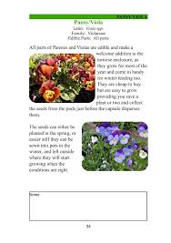 Edible Plant Collection The Tortoise Table Plant Collection