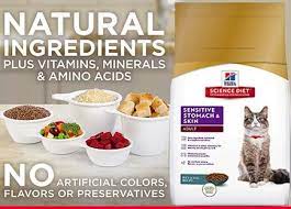 Best Sensitive Stomach Cat Food Reviews In 2020 Sensitive Stomach Cat Food Sensitive Stomach Food