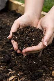 Check spelling or type a new query. Raised Garden Bed Soil Which Soil Type For Raised Beds Is Best