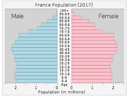 Demographics Of France Wikipedia