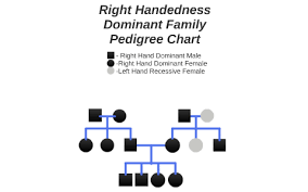 Handness Family Pedigree Chart By Dominic Mazzoli On Prezi