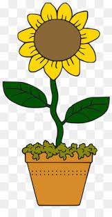 Gambar cartoon bunga matahari clipart best. Kartun Bunga Matahari Unduh Gratis Umum Bunga Matahari Menggambar File Komputer Kartun Bunga Matahari Bunga Gambar Png