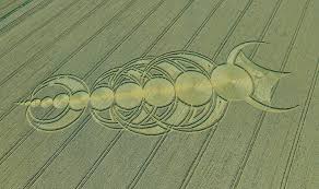 East Field Alton Barnes, Wiltshire | 3rd August 2010 | Wheat ...