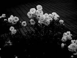 34 Aesthetic Dark Ideas Aesthetic Dark Aesthetic Dark Customize and personalise your desktop, mobile phone and tablet with these free wallpapers! aesthetic dark aesthetic dark