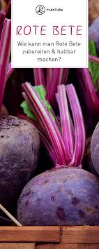 Rote Bete Ernten Und Haltbar Machen Einfrieren Einlegen Co Rote Bete Zubereiten Rote Bete Rote Beete Einkochen