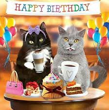 Best Birthday Quotes Happy Birthday Happy Birthday Cat Happy Birthday Animals Funny Happy Birthday Wishes