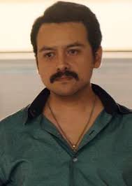 That same year, the arellano félix brothers sent the venezuelan drug trafficker enrique rafael clavel moreno to infiltrate palma's family and seduce his wife guadalupe leija serrano. Narcos Mexico Characters Tvmaze