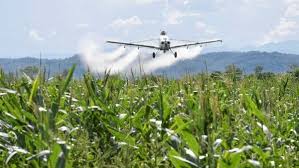 EE.UU. insiste en usar glifosato para fumigación en Colombia ...