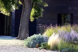 Ornamental Grass Is A Low Maintenance Drought Resistant Plant Wonder Drought Tolerant Garden Landscape Design Garden Inspiration