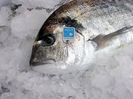 Varietà più ricca di omega 3 e acidi grassi, che hanno effetti benefici sul funzionamento del cuore e del sistema circolatorio. Pesce Di Allevamento Facciamo Chiarezza Pescheria Degli Artisti