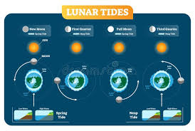 Lunar And Solar Tides Vector Illustration Diagram Poster
