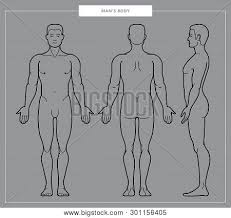 Male groin diagram wiring diagram online. Vector Llustration Vector Photo Free Trial Bigstock