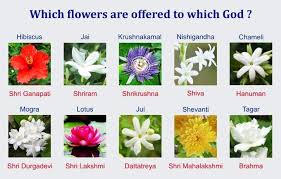 Flowers In The Hindu Way Of Life Dharma Mauritius Facebook