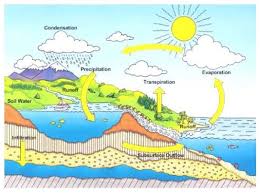 Menurut para ahli, evaporasi berhubungan dengan zat cair atau dalam hal ini bisa diartikan air. Daur Air Siklus Hidrologi Pengertian Proses Dan Gambar
