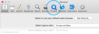 Enable Cookies In Safari On Macos