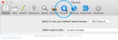 However, there are times when you need to enable them, in order to fully take advantage of what a trusted website has to offer. Enable Cookies In Safari On Macos