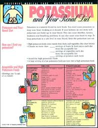 Chronic Renal Failure Diet Plan Guidelines Tips And Advice Everything You Need To Know When It Comes To W Dialysis Diet Renal Failure Diet Renal Diet Recipes