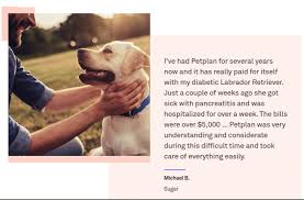 Check spelling or type a new query. Petplan Pet Insurance 2021 Compare Quotes