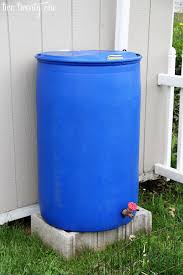 Collecting rainwater was extremely common only a hundred or so years ago. Rain Barrel How To Harvesting Rainwater