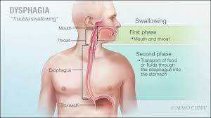 Image result for Swallowing