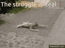Jan 22, 2012 · if your life becomes a struggle to pay off debt, then you're trapped by that. The Struggle Is Real Gifs Tenor