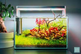 Ultum Nature Systems Planted Nano Betta Tank Aquarium Landscape Planted Aquarium Nature Aquarium