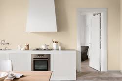 There are no rules when it comes to white paint. European White Sadolin Paint