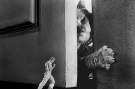 When spongebob says, that's one small step for spongebob, one giant leap for—, he is referencing neil armstrong's quote: The Incredible Shrinking Man Top 10 50s Sci Fi Movies Time Com