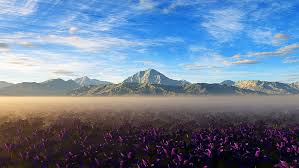 Thriving in the southern heat, plant this. Atacama Desert Clouds Mountains Landscape Flowers Sky Purple Flowers Hd Wallpaper Wallpaperbetter